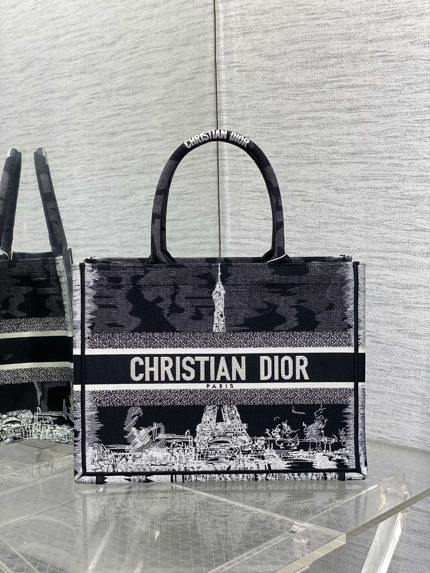 Medium Dior Book Tote Bag White and Black Paris Embroidery